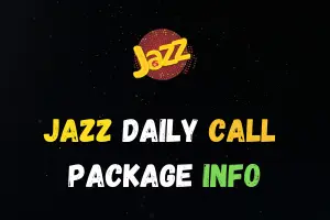 Home 4 daily call package info