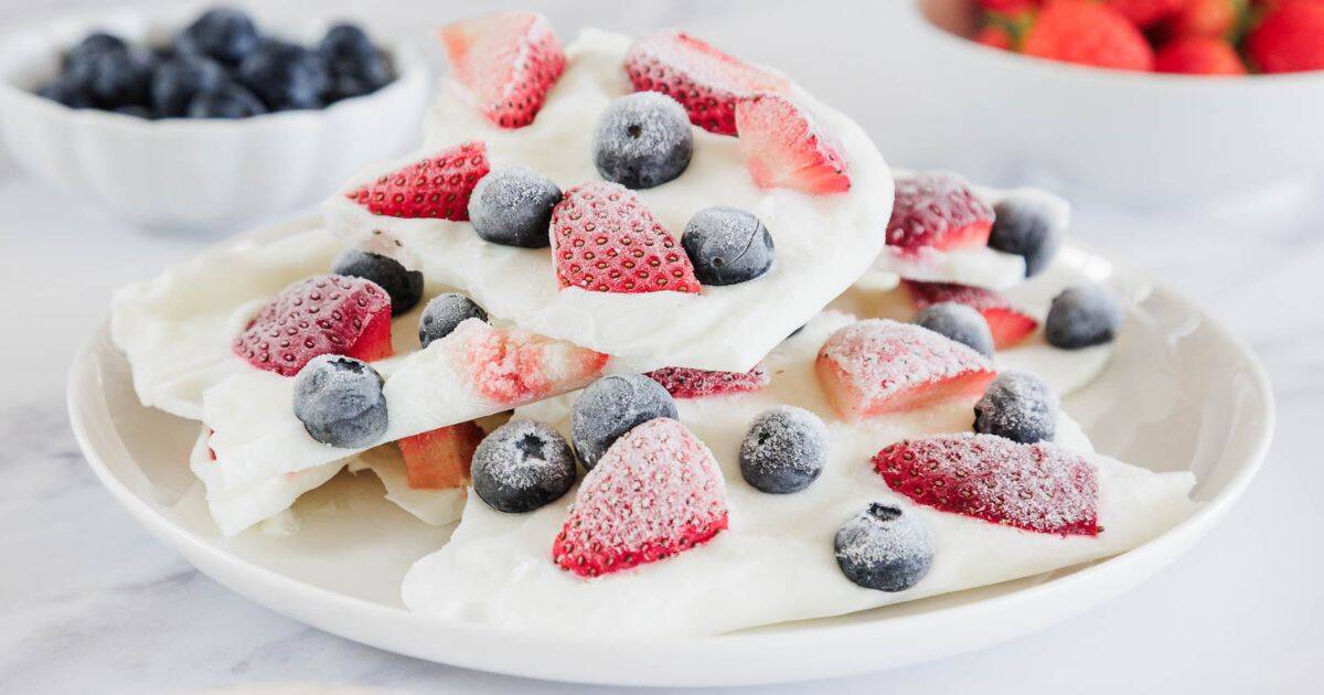 Berry Yogurt Bark : At the Immigrant's Table 1 Berry Yogurt Bark SOCIAL